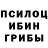 Псилоцибиновые грибы Psilocybine cubensis Danyal Malik