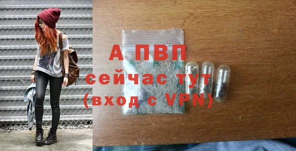 стафф Верхний Тагил