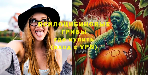 стафф Верхний Тагил