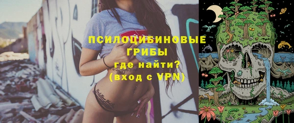 стафф Верхний Тагил